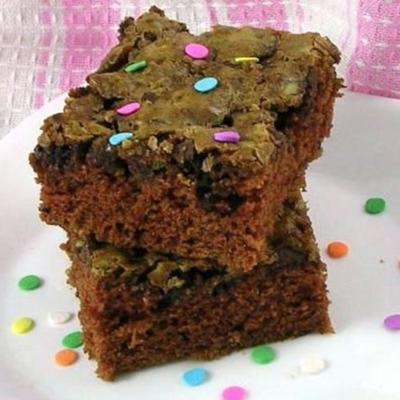 oma's chocolade courgette brownies