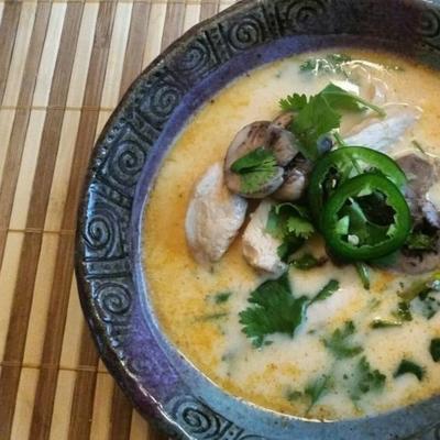 pittige kip Thaise soep