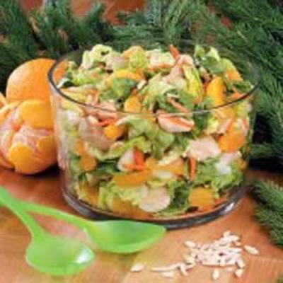 mandarijn oranje kippensalade