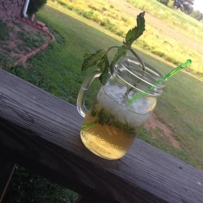 mint julep cocktail