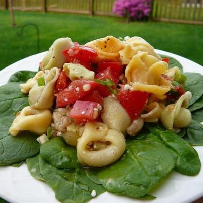 tortellini picknick salade