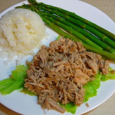 homestyle kalua varkensvlees met kool in een slowcooker