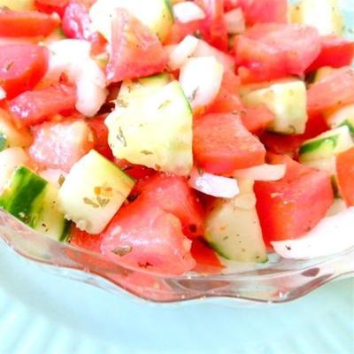 tomaat komkommer ui salade