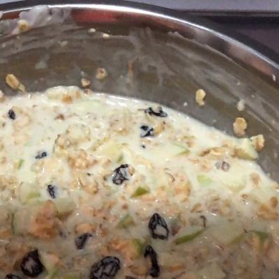 bircher muesli (zwitserse havermout)