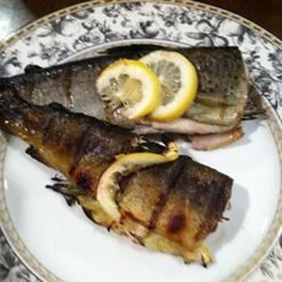 hele gegrilde forel