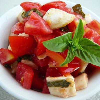 lachende caprese salade