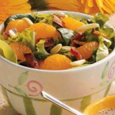 gooide salade met sinaasappels