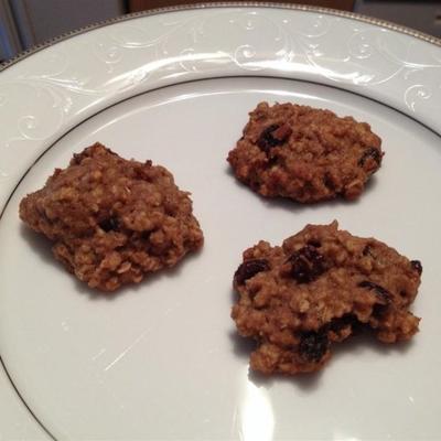 spelt havermout rozijnen cookies