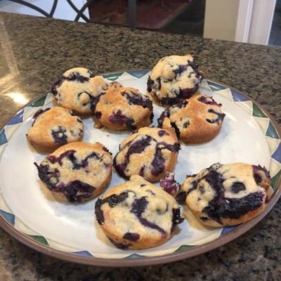 beste 100 calorie blueberry muffins