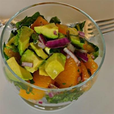 mandarijn, koriander en avocado salsa