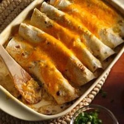 progresso® kippenenchiladas