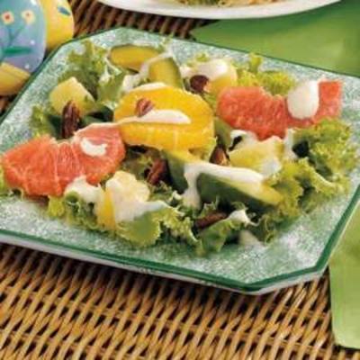 gerijpte citrus-avocado salade