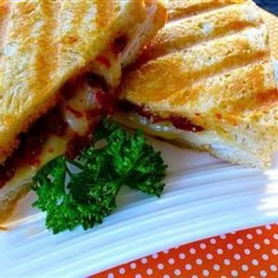 turkije en in de zon gedroogde tomatenpanini