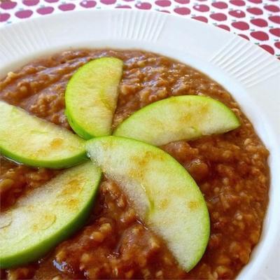 slow cooker cinnamon apple steel cut haver