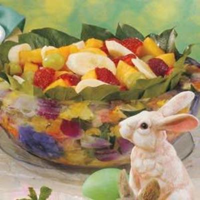fruitsalade met maanzaad dressing