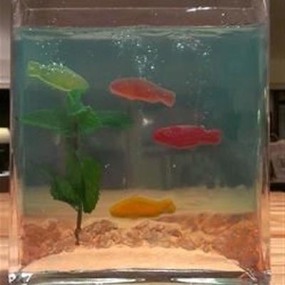 jell-o® aquarium