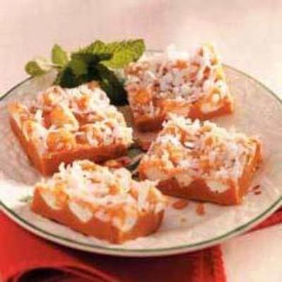 butterscotch coconut squares