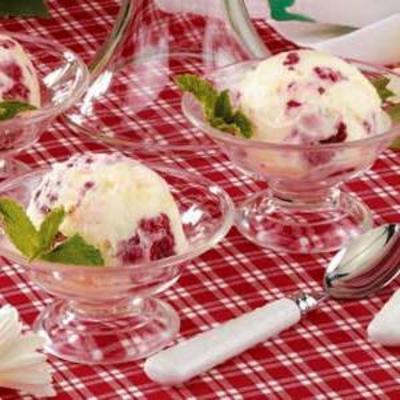 fruitig sorbet dessert