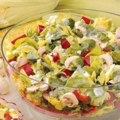 rode pepersalade met peterselie dressing
