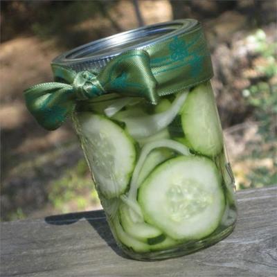 mona's gemakkelijke pickles in de koelkast