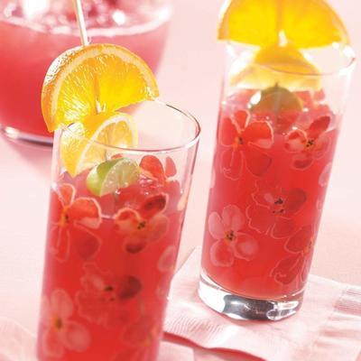 oranje cranberry punch