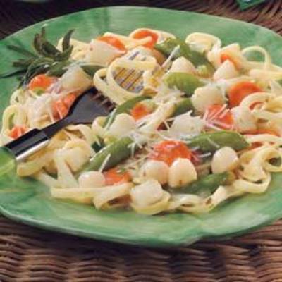 gekruide scallop fettuccine