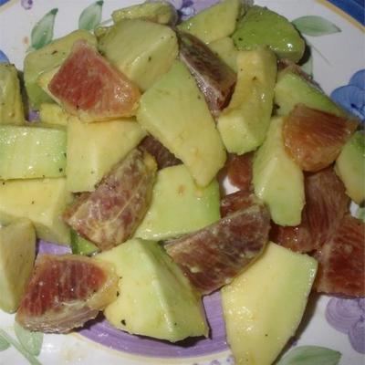 bloedsinaasappel en avocado salade