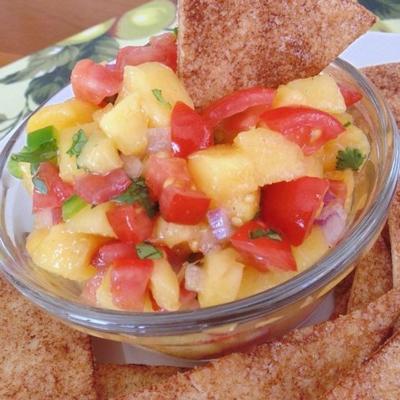 verse en eenvoudige perziksalsa met kaneelsuikerchips