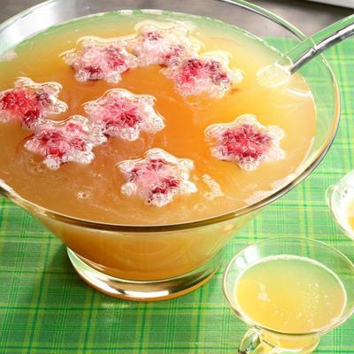 cranberry party punch