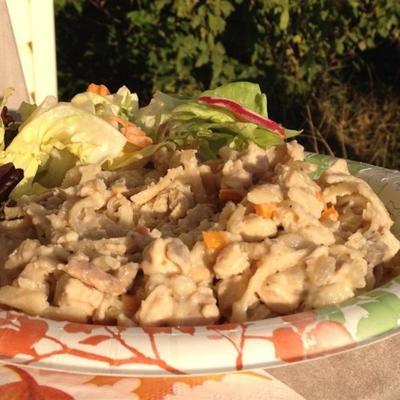 Ashley's verschillende kip tetrazzini