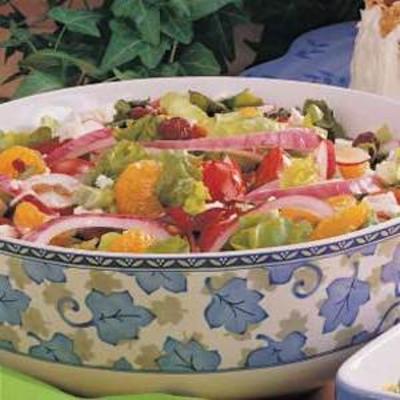 kleurrijke gemengde salade