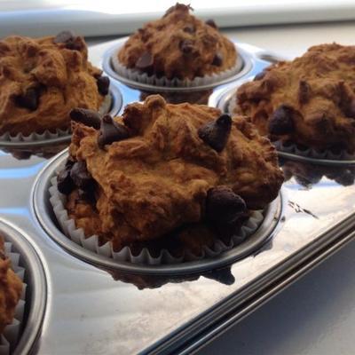 magere veganistische pompoenchocoladeschilfermuffins