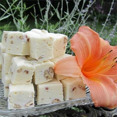 witte chocolade fudge met pecannoten