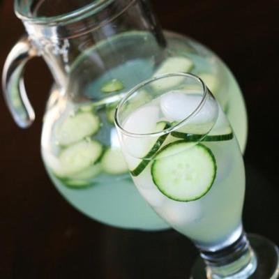 maagdelijke komkommermojito