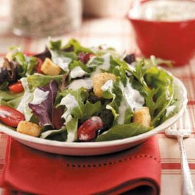 ranch dressing mix plus