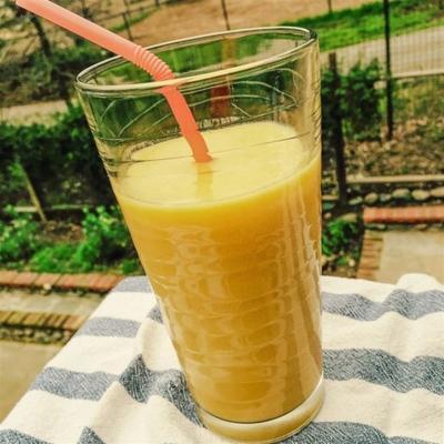 lekker mango citrus drankje