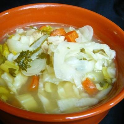 de beste kip-soep van het langzame kooktoestel