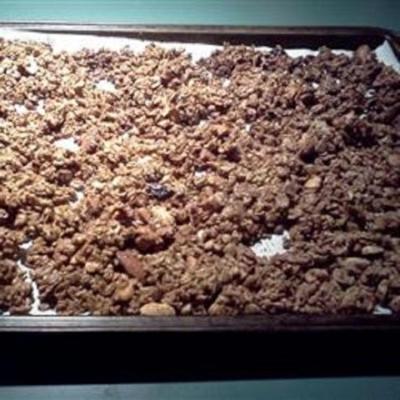 gember cashew zonnebloemzaad granola