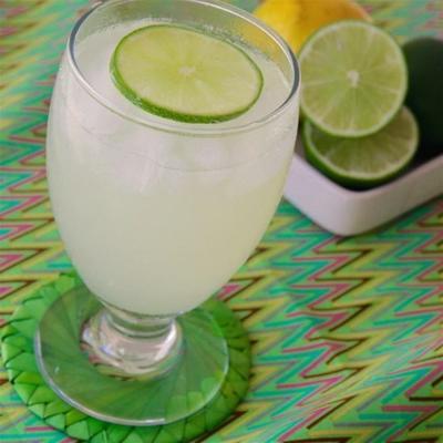 smakelijke limeade