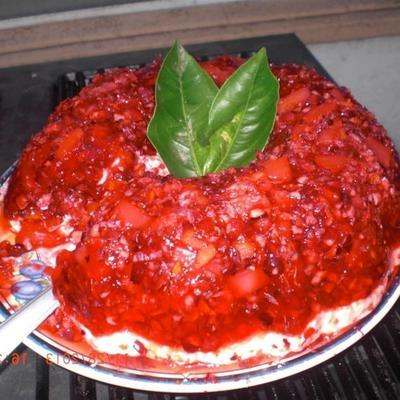 moore's cranberry gelatine salade