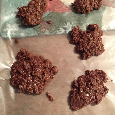 ongebakken chocolade havermout koekjes