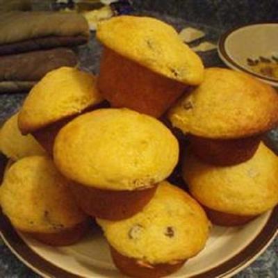 pompoen yoghurt rozijn muffins