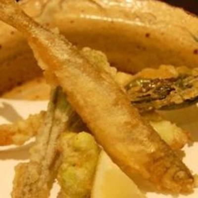 tempura-gehavende spiering