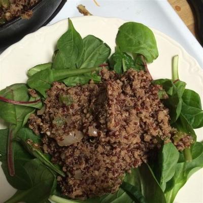 vuile quinoa met hertenburger