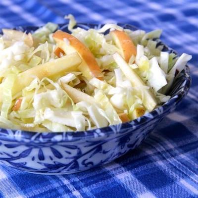 gemakkelijke appel kool slaw