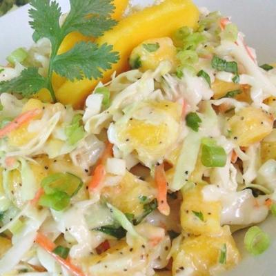 mango cilantro slaw