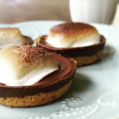 s'mores binnenshuis