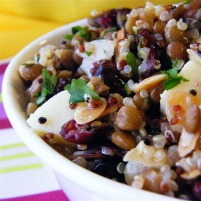 cranberry linze en quinoa salade