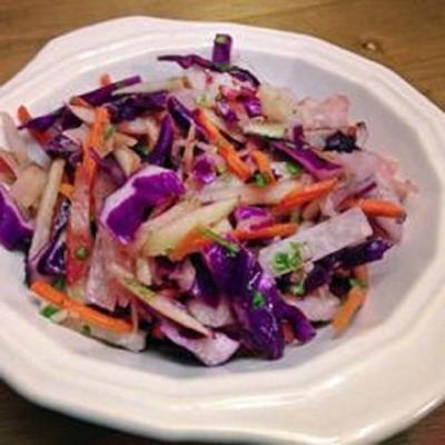 snelle jicama-slaw