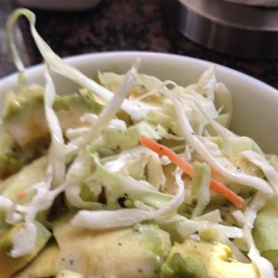 puerto rican kool, avocado en wortelsalade